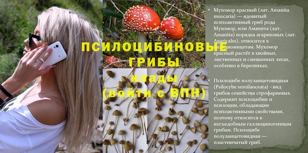 круглые Гусь-Хрустальный