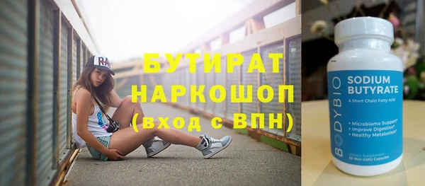 индика Гусев