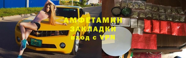 индика Гусев