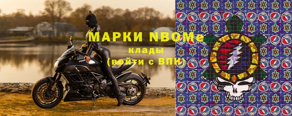 индика Гусев