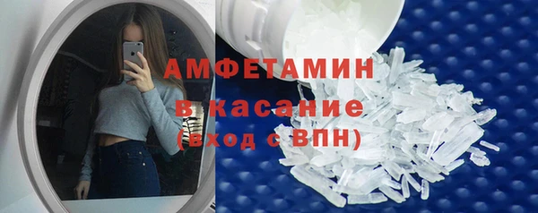 индика Гусев