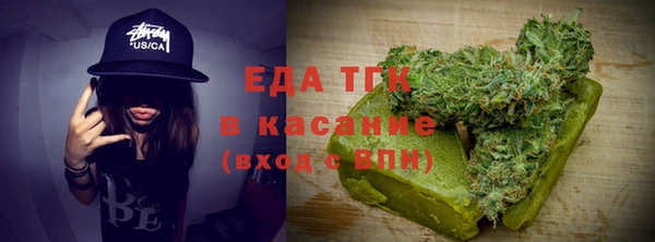 индика Гусев