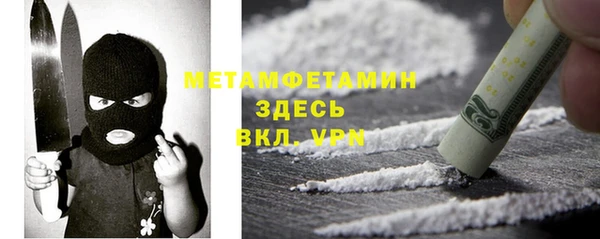 индика Гусев