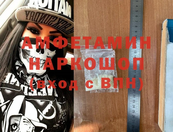 индика Гусев