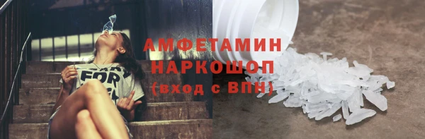 индика Гусев