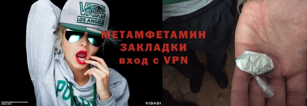 индика Гусев