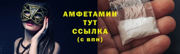 индика Гусев