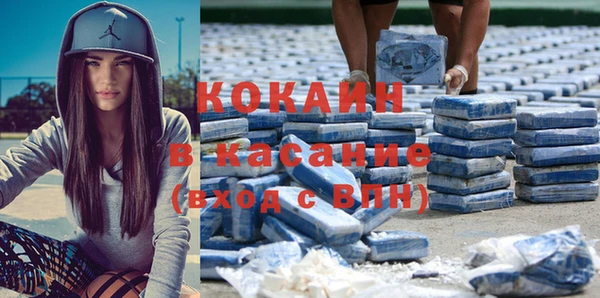 индика Гусев