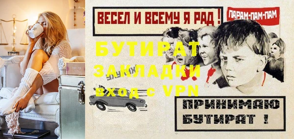индика Гусев
