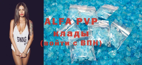 индика Гусев