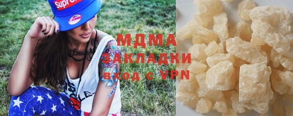 индика Гусев