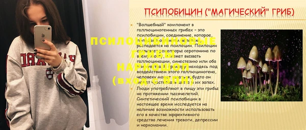индика Гусев