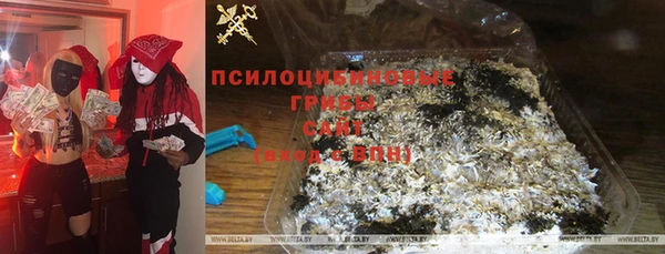 спиды Гусиноозёрск