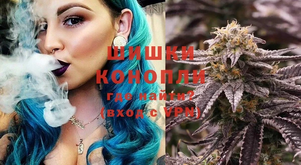 индика Гусев