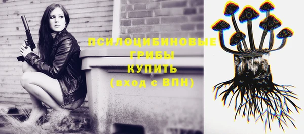 круглые Гусь-Хрустальный