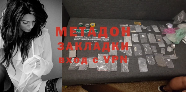 индика Гусев