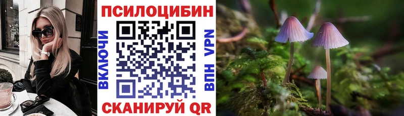 Псилоцибиновые грибы Psilocybe  Купить закладки  Дубовка 