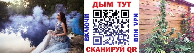 Купить где  Дубовка  Шишки марихуана SATIVA & INDICA 